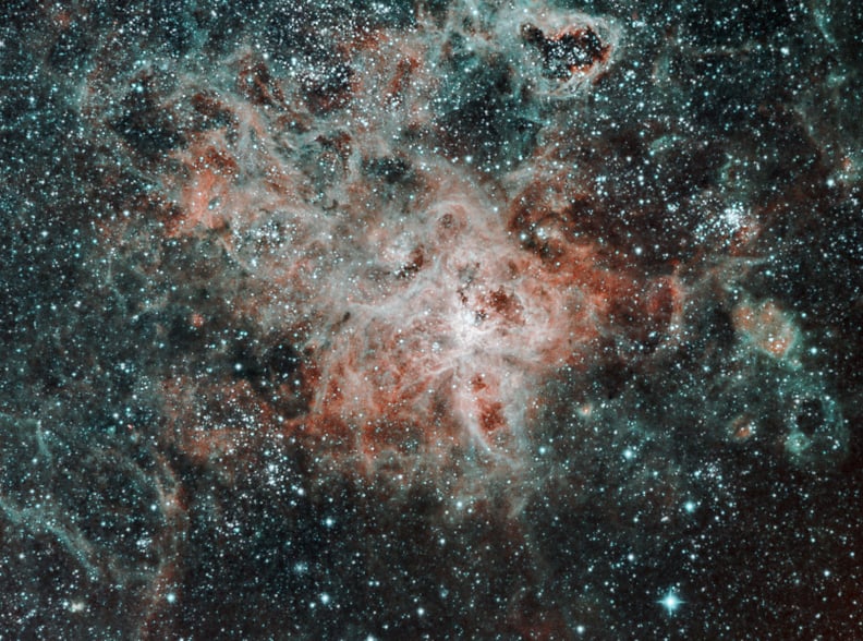 Junior Honorable Mention — "The Tarantula Nebula"