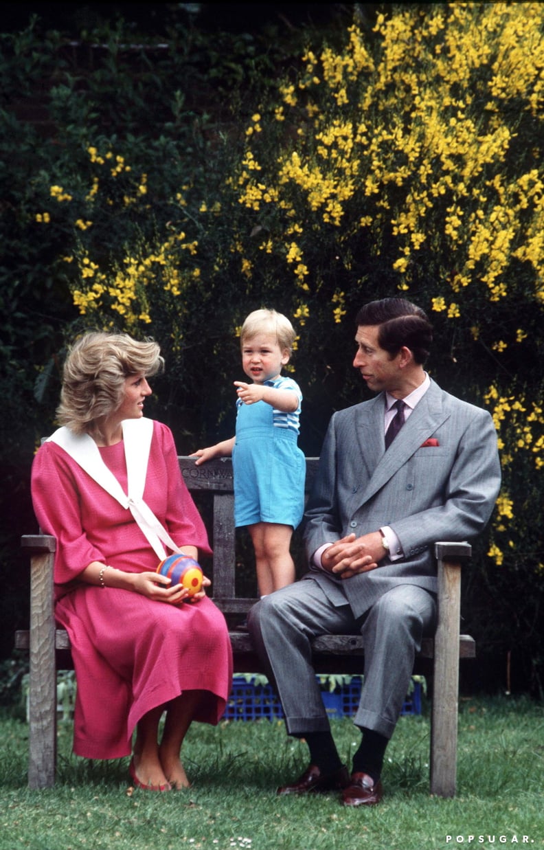 Princess Diana and Prince Charles With Prince William in 1984
