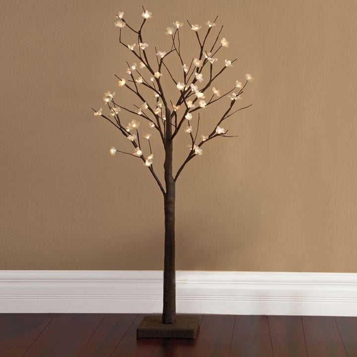 Not Your Typical Tree