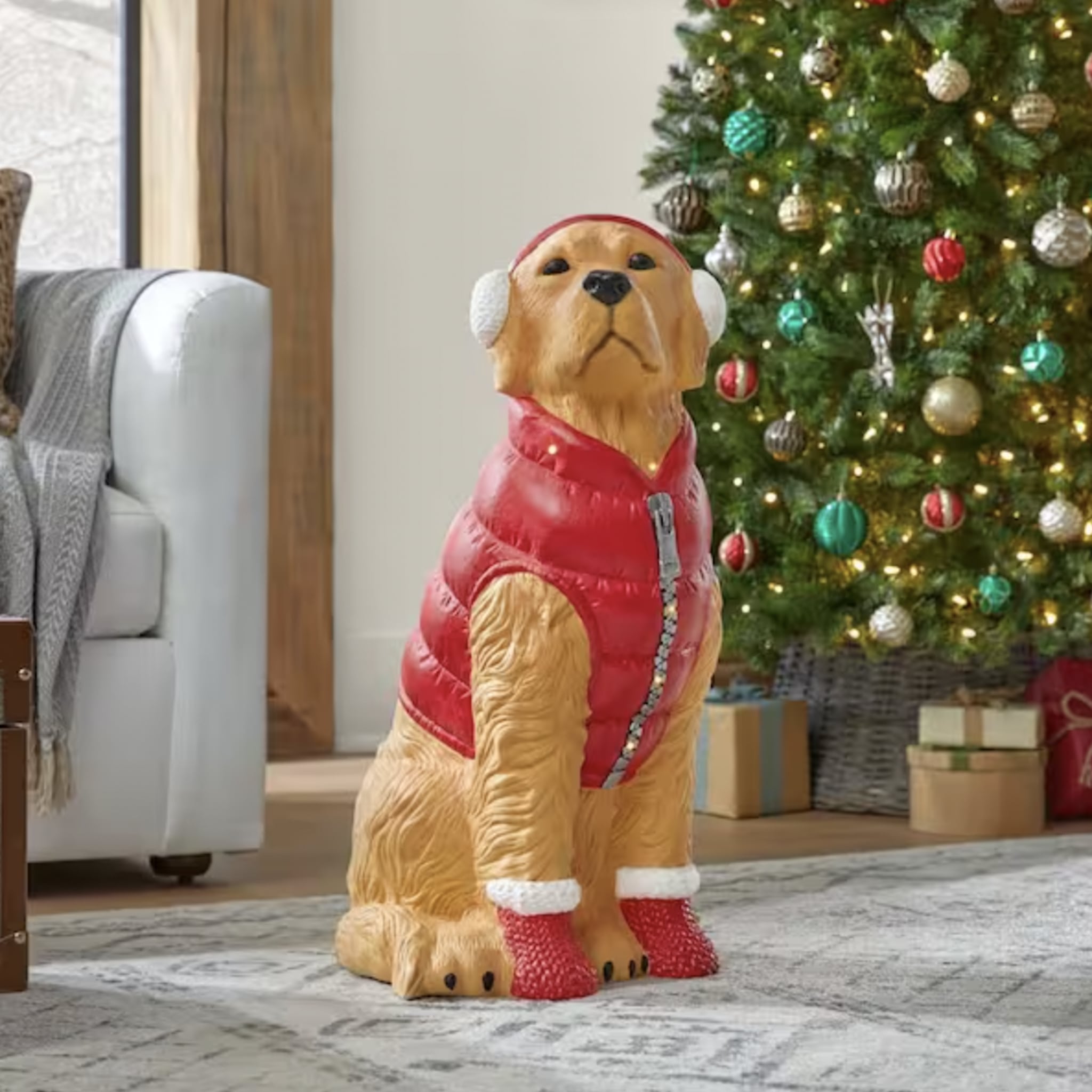 Dog holiday sales homes