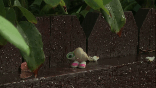 She cowrote and voiced that viral cutie pie, Marcel the Shell With Shoes On.