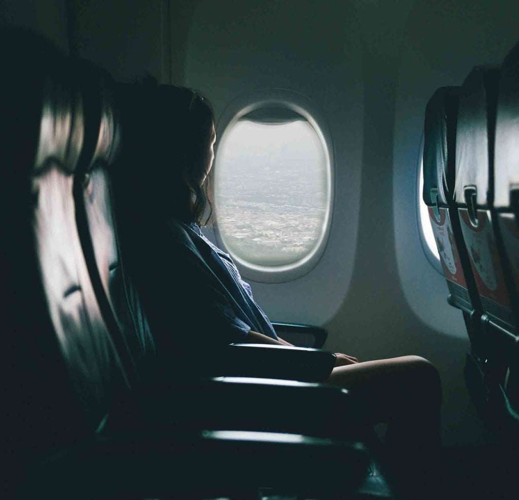 Is It Safe to Fly With a Pet? POPSUGAR Smart Living