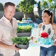 Get the Backyard of Your Dreams With These Affordable Ideas From HGTV's Desert Flippers