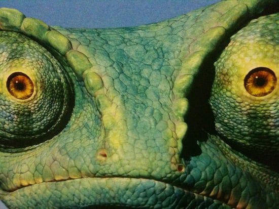 JACKASS FOREVER NEW WATCH ONLINE DATE