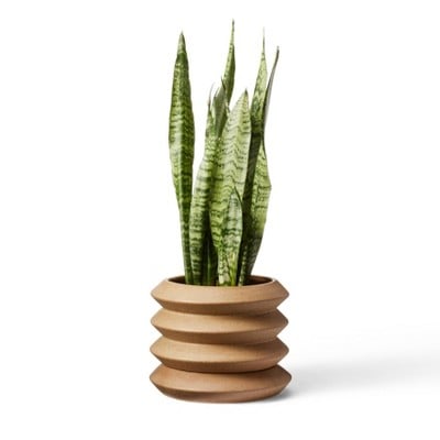 Hilton Carter for Target Coiled Stoneware Planter