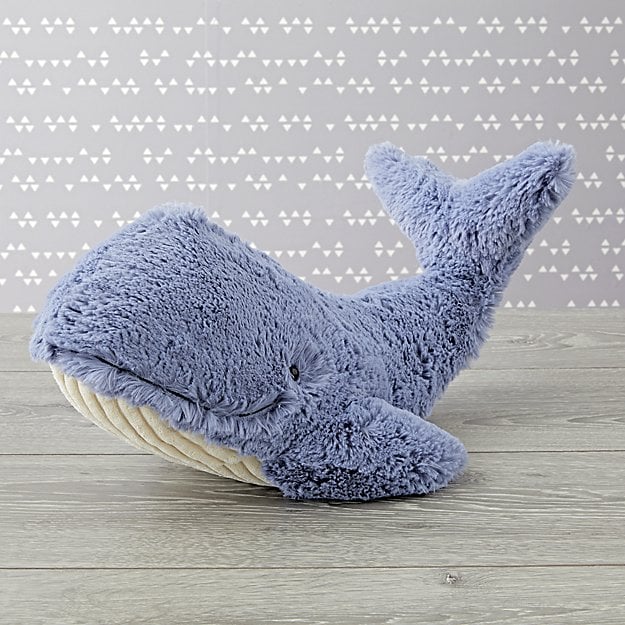 jelly cat whale shark