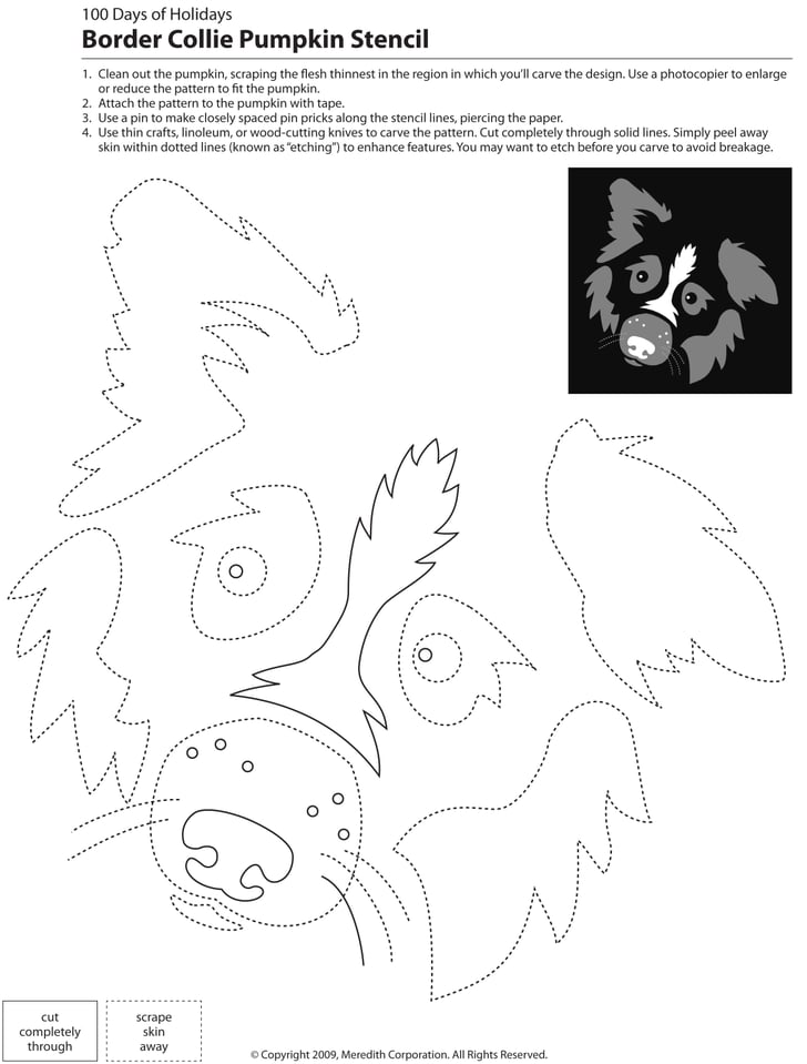 Downloadable Dog Breed Pumpkin Stencils POPSUGAR Pets Photo 7