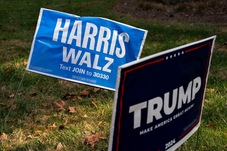 Campaign signs for US Vice President Kamala Harris and former US President Donald Trump in Greensboro, North Carolina.