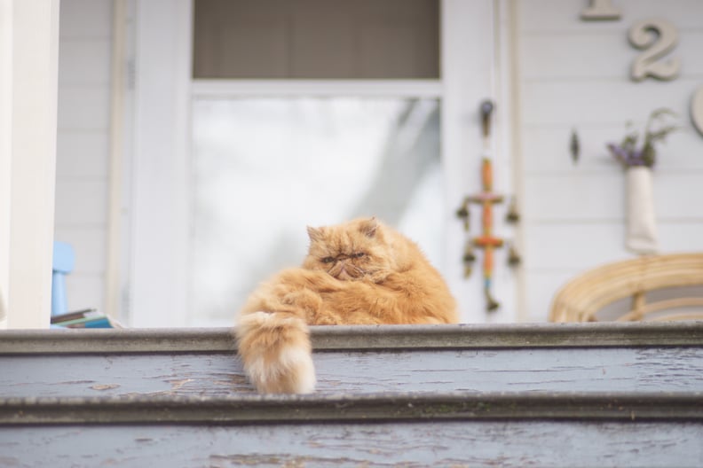 The squeak of a porch swing and the slam of a screen door will always make you feel at home.