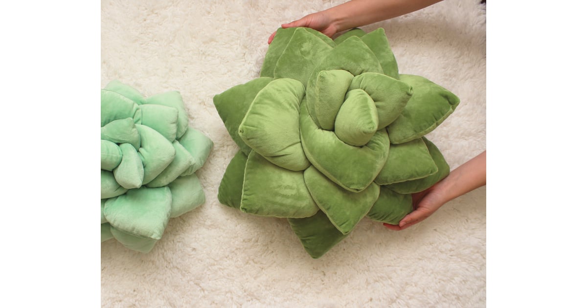 plush succulent