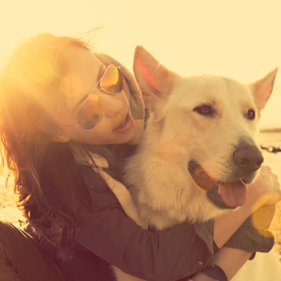 Rescue Dog Helps Woman Find Love