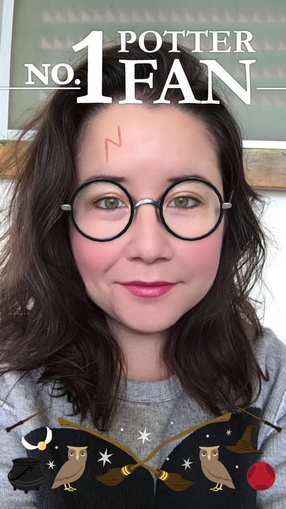 No. 1 Potter Fan Filter