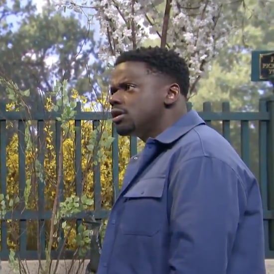 Watch Daniel Kaluuya's SNL Dog Park Sketch | Video