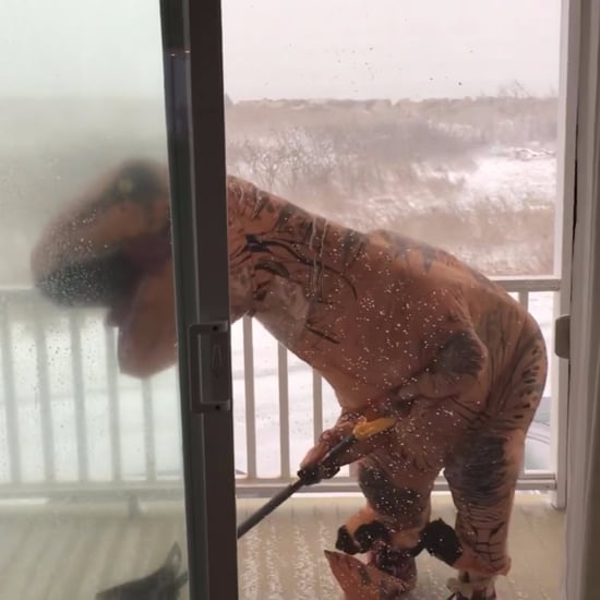 Funny Video of T. Rex Shoveling Snow