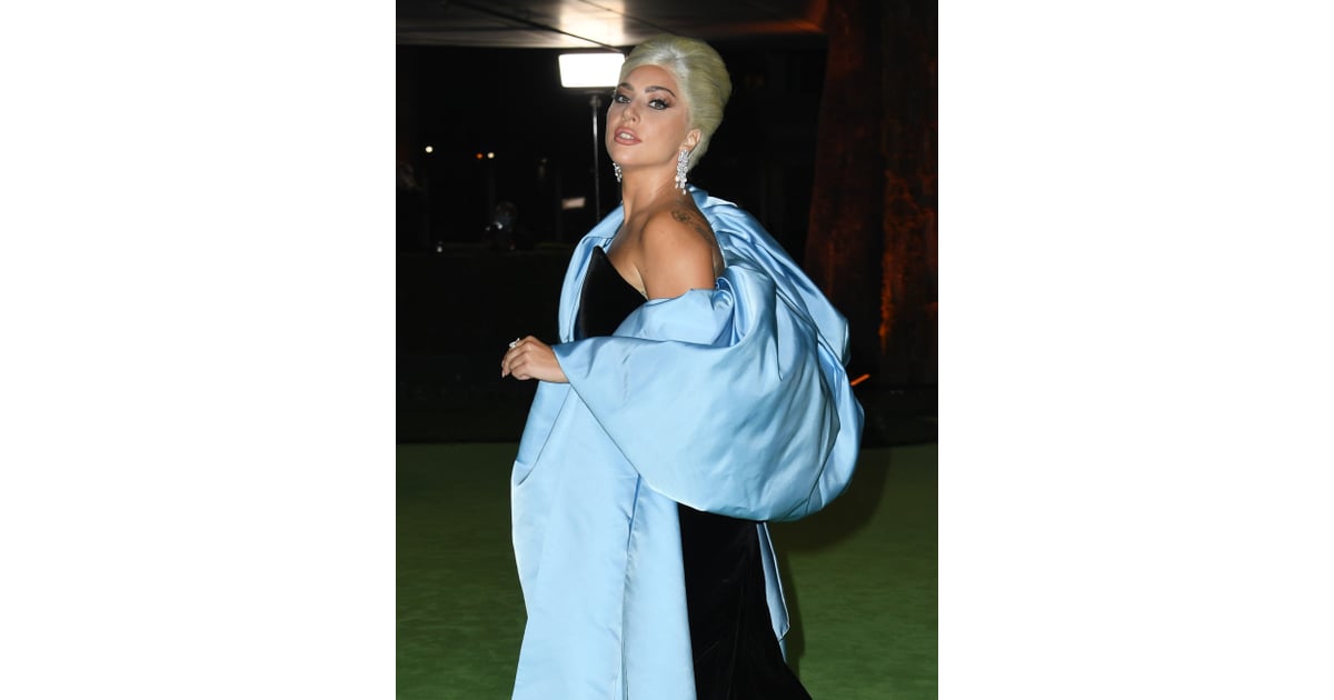 Lady Gaga's Strapless Schiaparelli Dress | Photos | POPSUGAR Fashion ...