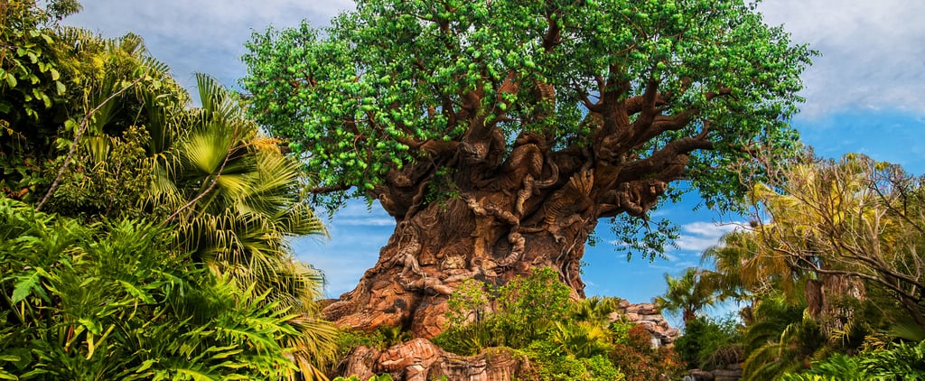 Ways Disney Parks Are Becoming More Sustainable
