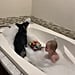 Video of a Dog Jumping the Into Bathtub With a Toddler