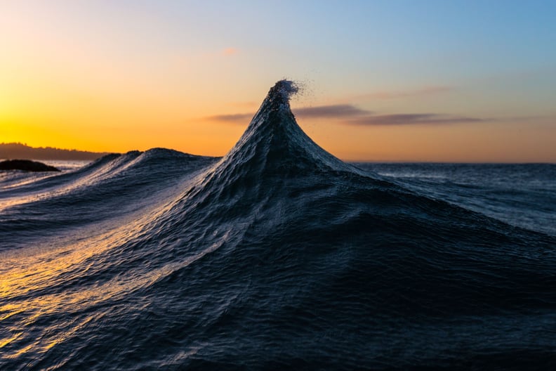 “Pinnacle of Existence” — Natural World Category Winner