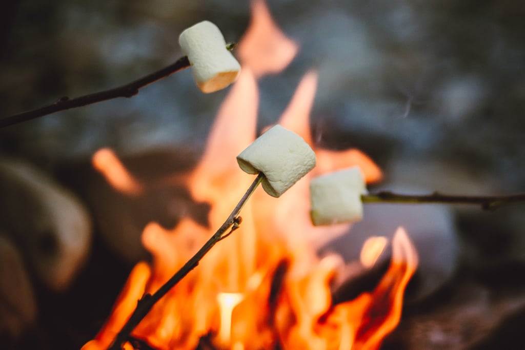 Campfire Cookout