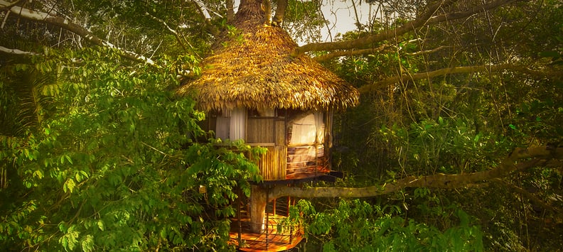 Treehouse Lodge, Peru