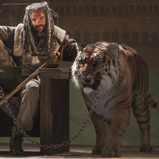 What Happens to Shiva in The Walking Dead Comics?