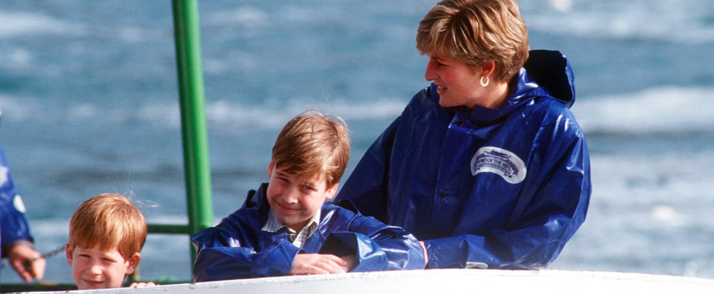 When Was the Last Time Harry and William Saw Diana?