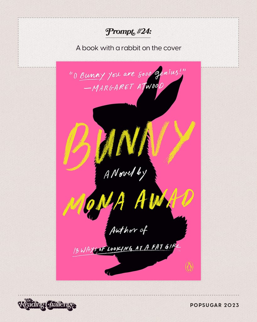 一本书,一只兔子在封面上