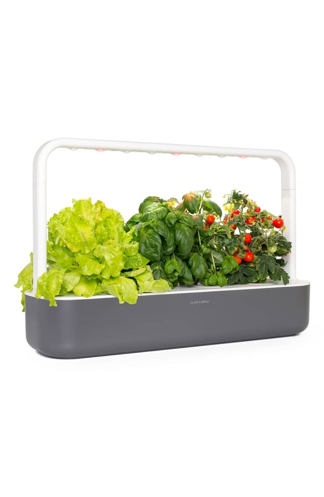 Best Indoor Garden: Click & Grow Smart Garden 9 Indoor Planter