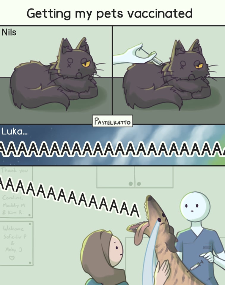 Artist's Comics on What It's Like to Have a Cat or Dog