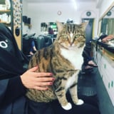 This "Works" Salon Easing Customers'