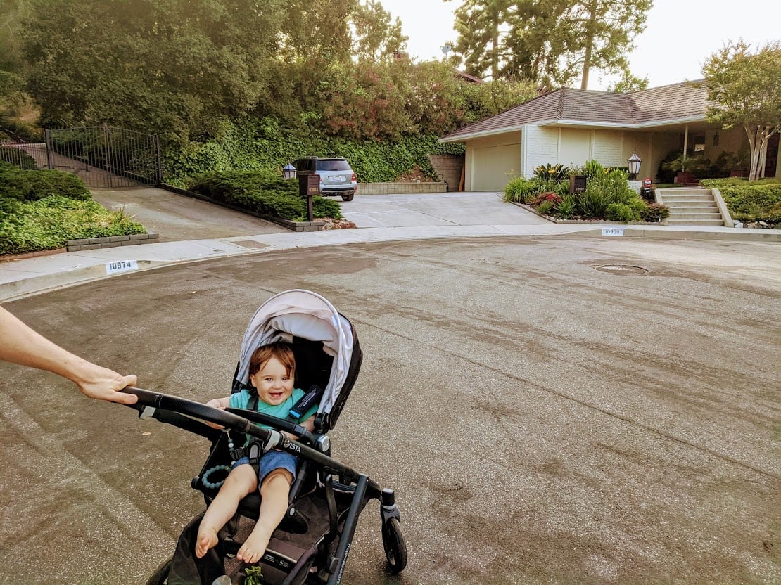 Is the UPPAbaby Vista Worth It 