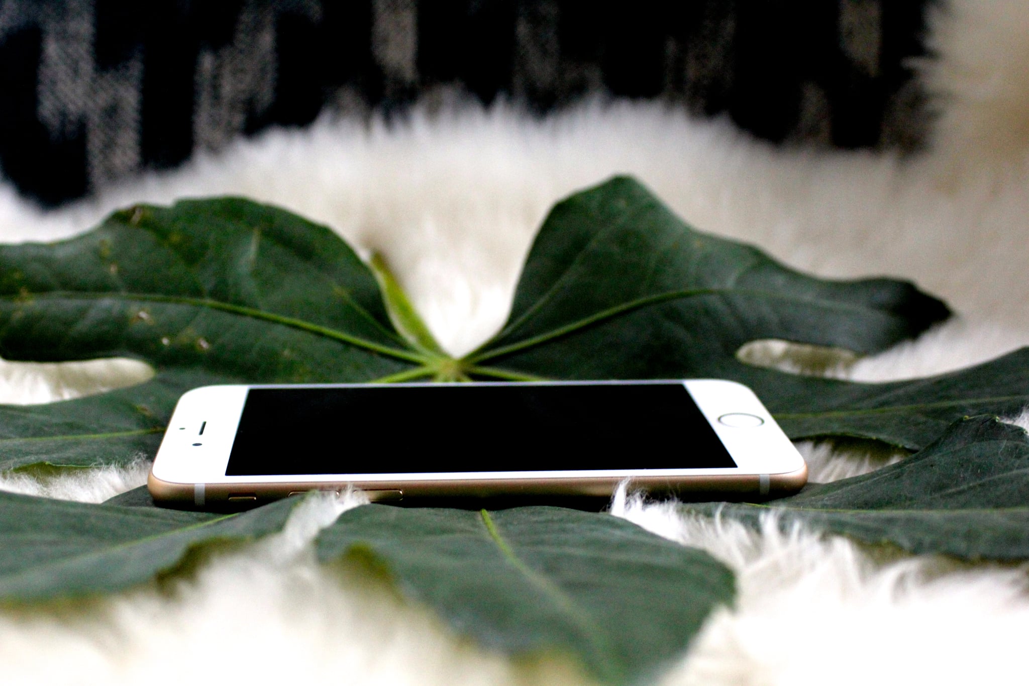 How To Find Your Iphone On Silent Popsugar Tech