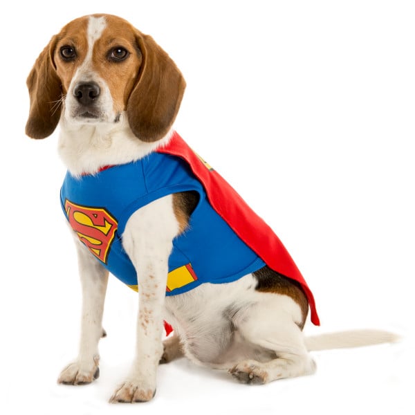 Superman (15) PetSmart Dog Halloween Costumes 2016 POPSUGAR Pets