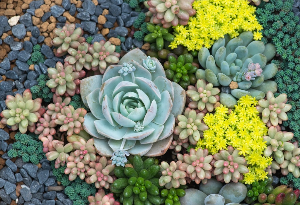 Plants Nature Inspired Baby Names POPSUGAR Family Photo 5