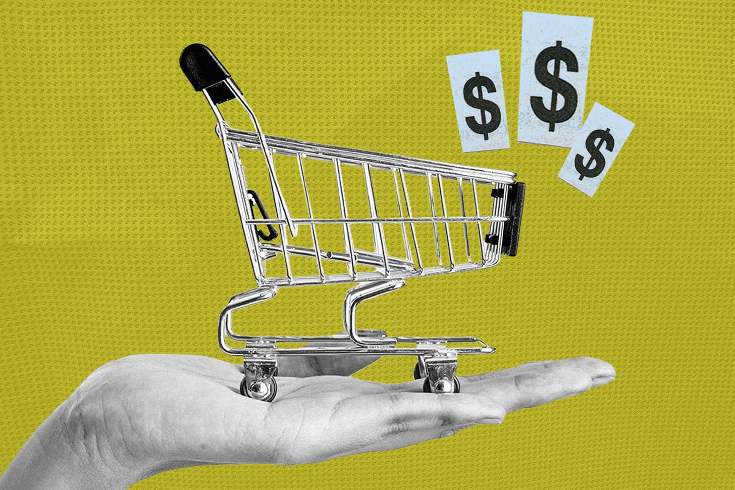 a conceptual photo of a hand holding a shopping cart