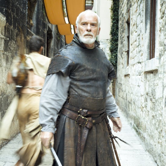 Ser Barristan Selmy on Game of Thrones Series Finale