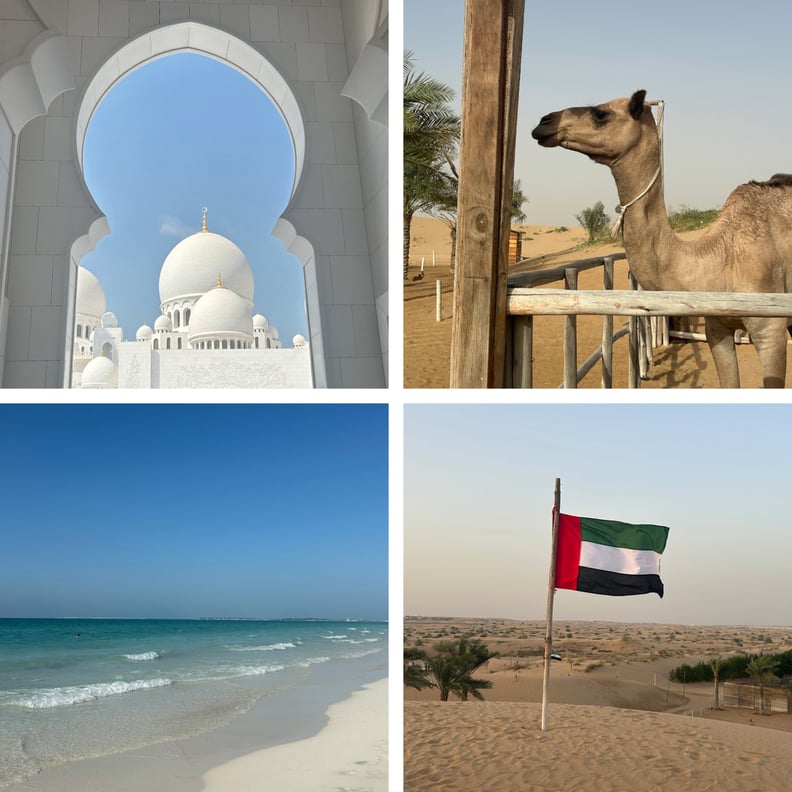 Sheikh Zayed Grand Mosque, a camel, Saadiyat Island and UAE flag