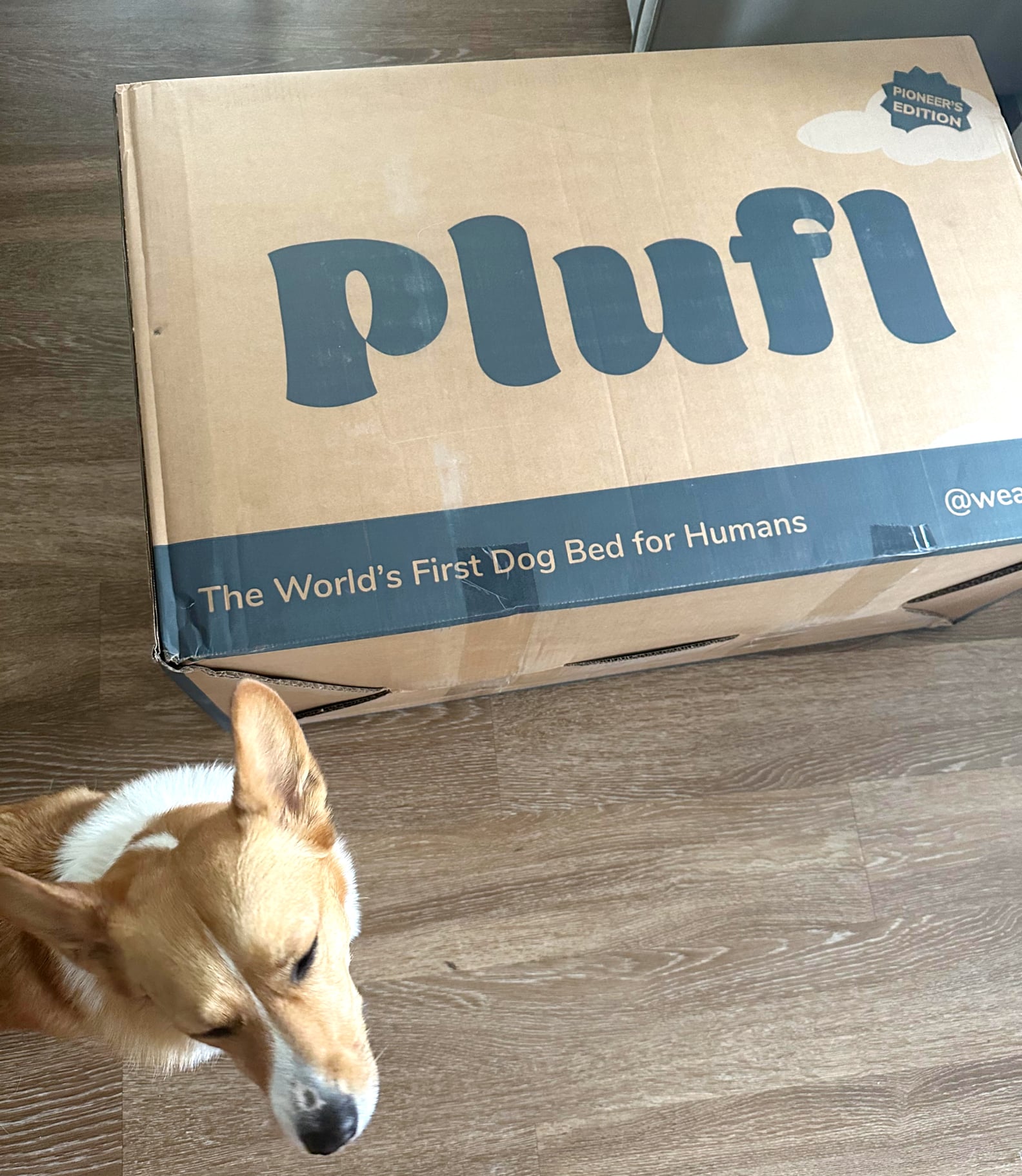 Plufl Human Dog Bed Review With Photos POPSUGAR Home