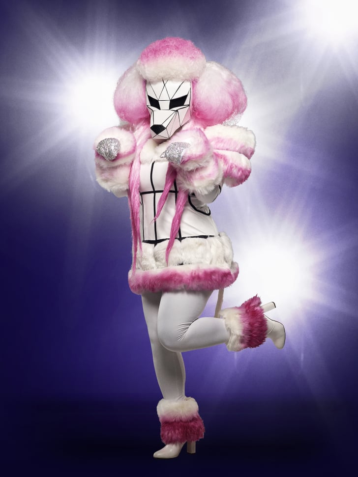 poodle funko pop