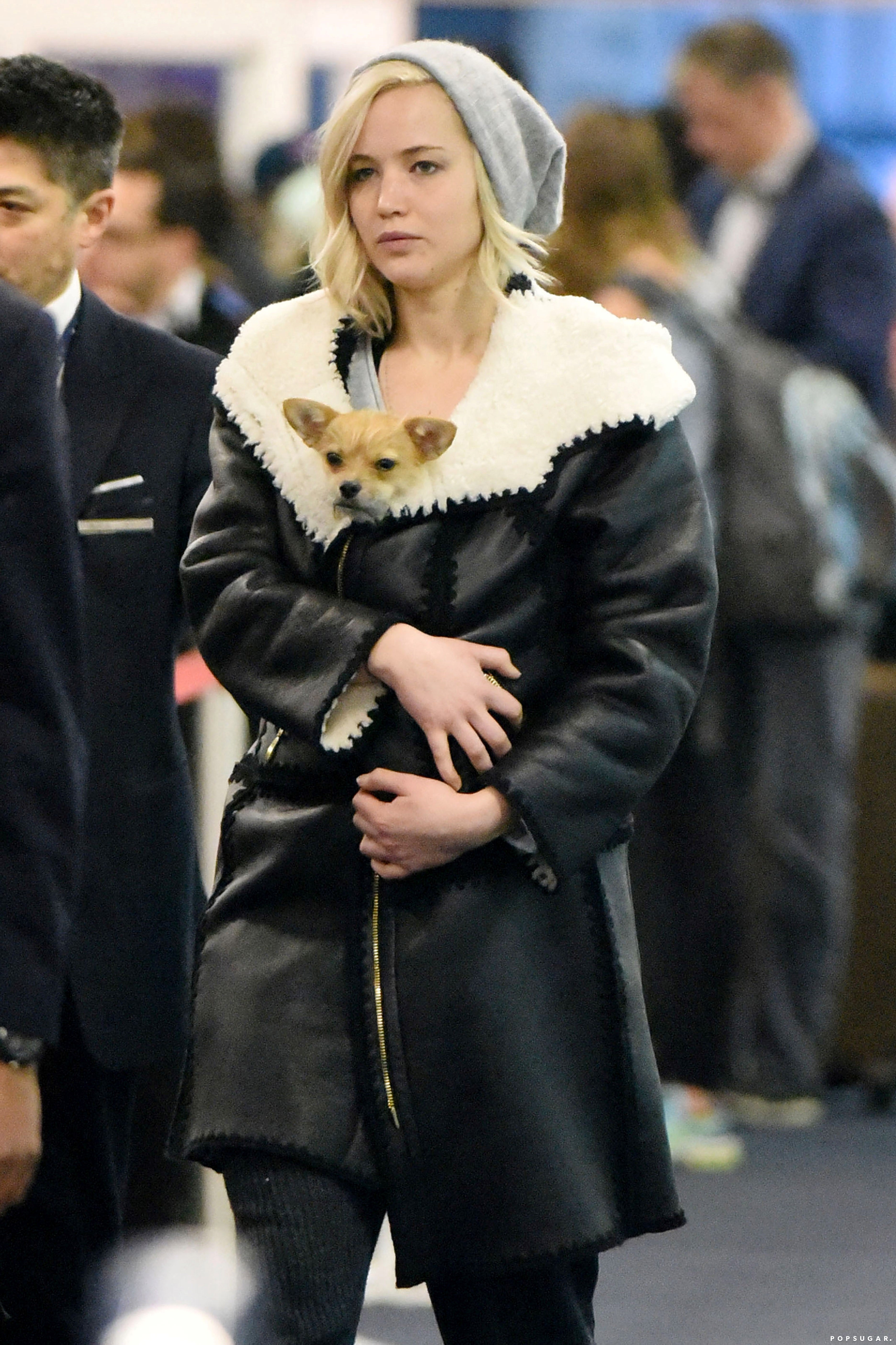 Serene Jennifer Lawrence Says She Sees Dogs As A 'threat' After 1 Bit Her Son Artwork in HD