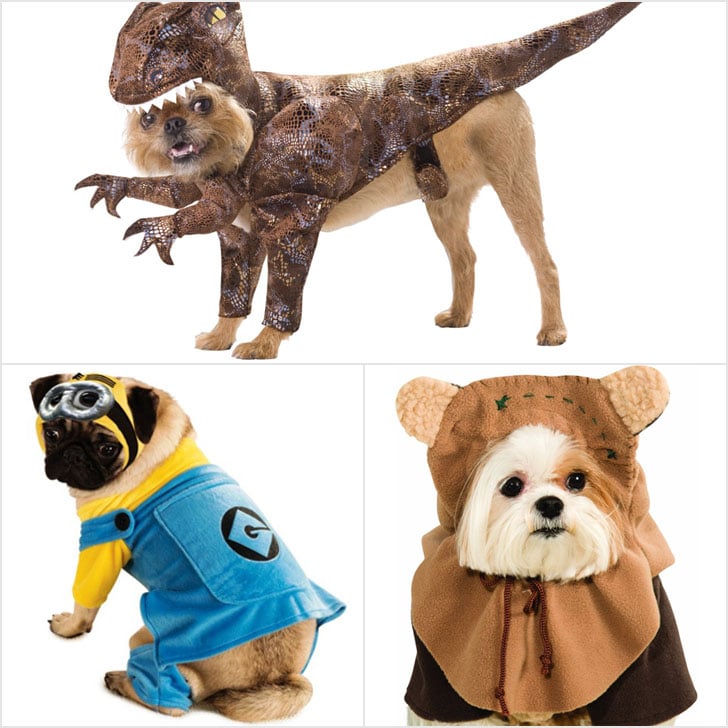 Top Pet Halloween Costumes 2015 Popsugar Pets