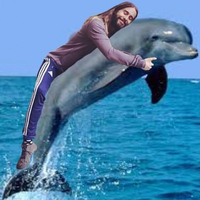 Jared Hugging a Dolphin