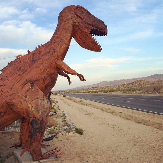Coachella Valley Photos
