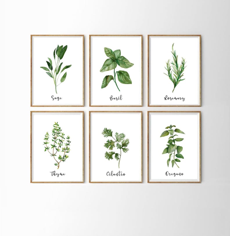 Herb Prints  (Set of 9)