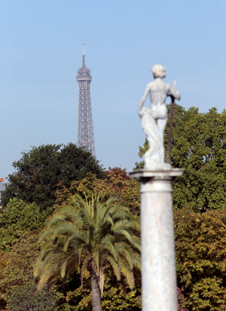 Eiffel Tower Pictures