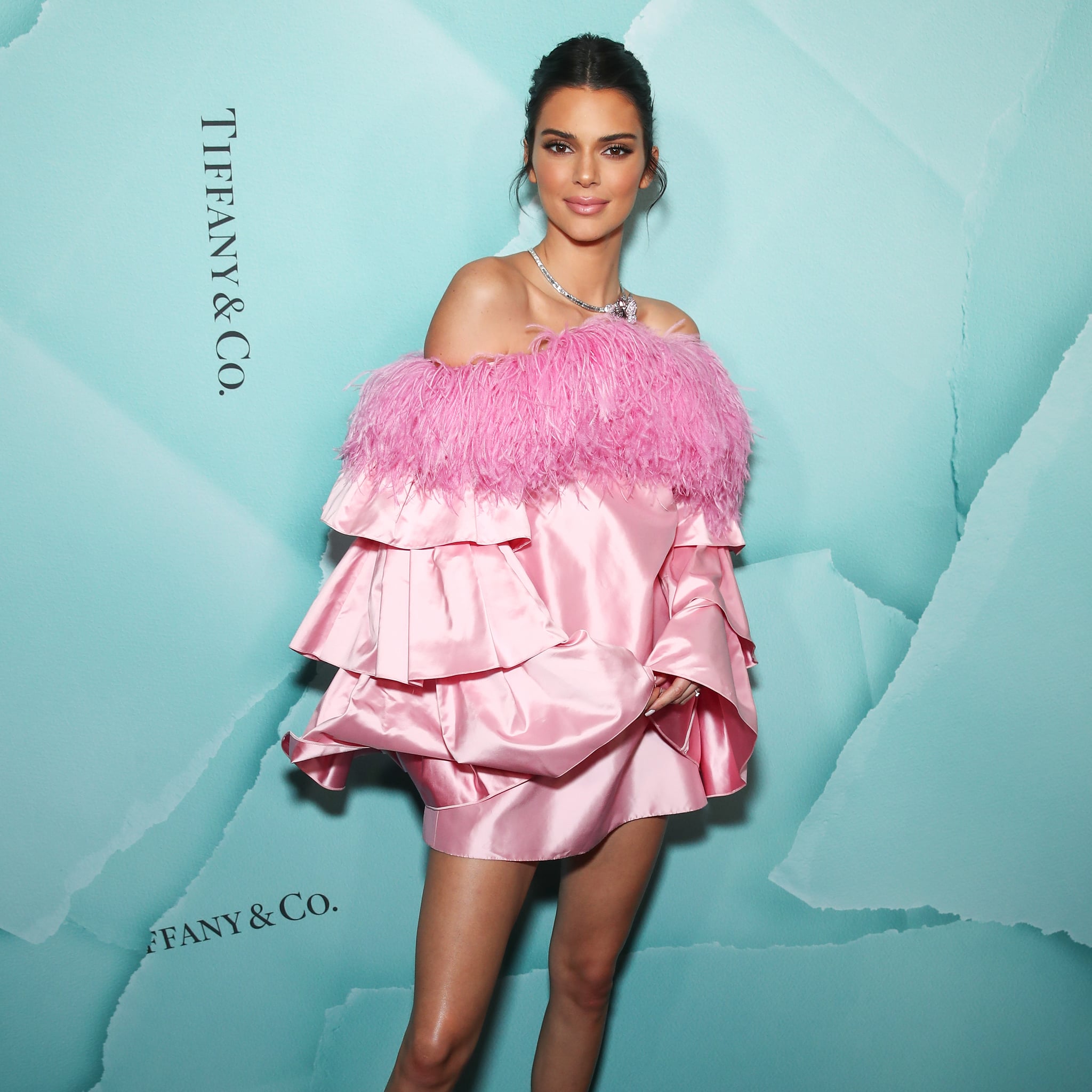 Kendall jenner sales feather dress