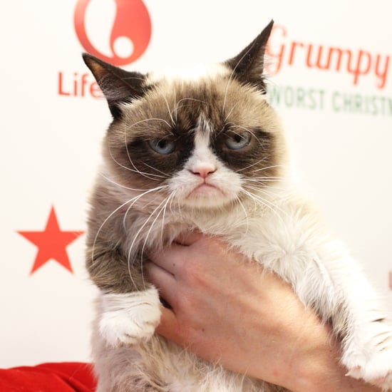 Grumpy Cat's Worst Christmas Ever Interview