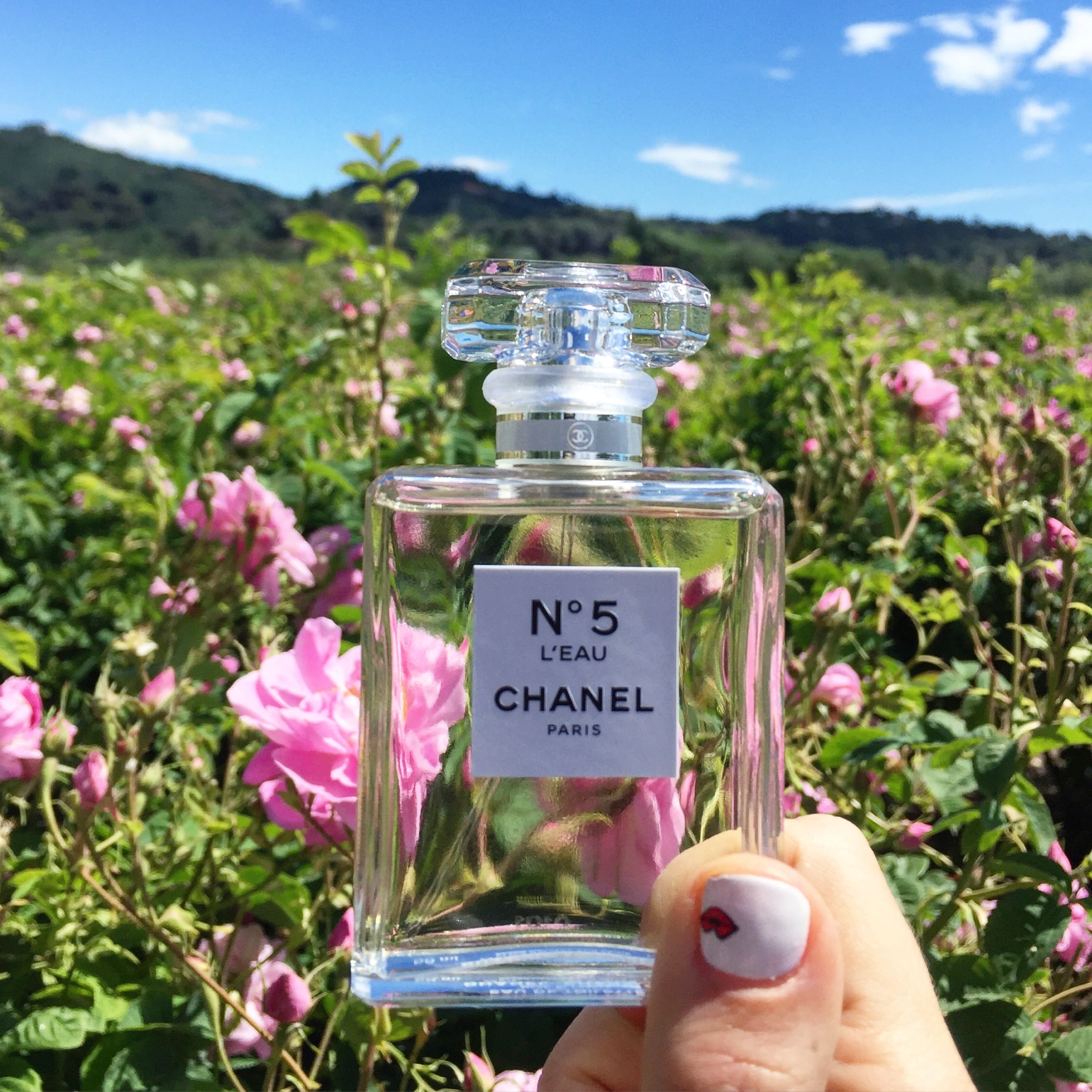 Chanel No.5 Eau Premiere Fragrance ReviewChanel's #N5NY Exhibit! – Mrs of  The Home By Christina Elizabeth