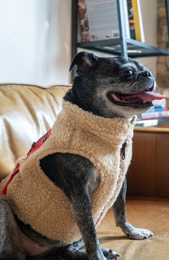 Lucy and Co. The Little Lamb Reversible Teddy Fleece Dog Vest