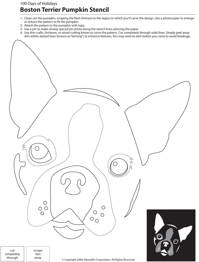 Downloadable Dog Breed Pumpkin Stencils